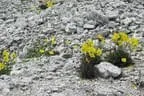 Bergausflug 2011 Drei Zinnen  Bild 10