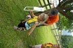 Kinderolympiade Bild 78
